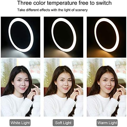 3 - 3 Modes 26cm Ring Light With Mobile Holder